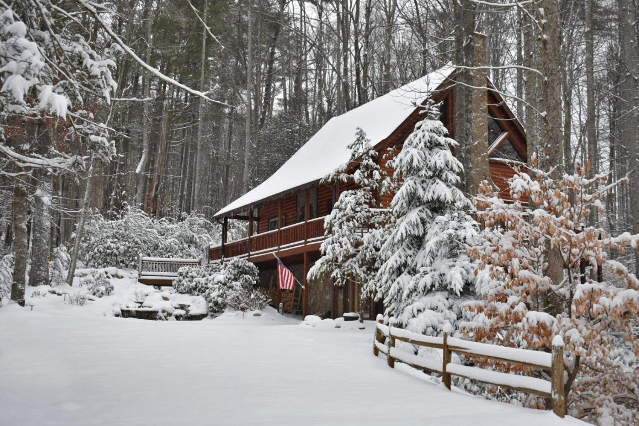 Iron Mountain Lodge - Beautiful Cabin With Forest & Mountain Views! Butler Buitenkant foto