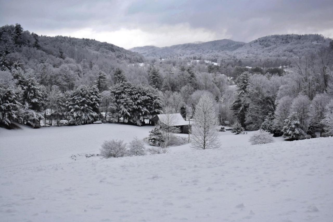 Iron Mountain Lodge - Beautiful Cabin With Forest & Mountain Views! Butler Buitenkant foto