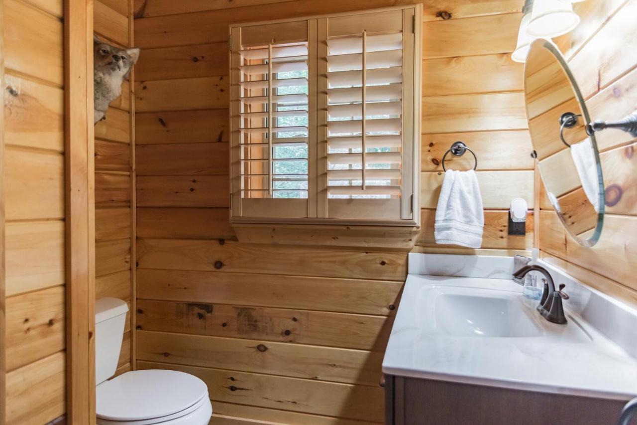 Iron Mountain Lodge - Beautiful Cabin With Forest & Mountain Views! Butler Buitenkant foto